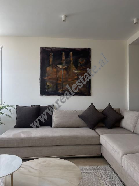 Apartment for sale in long hill residence in lunder area in Tirana, albania (4)