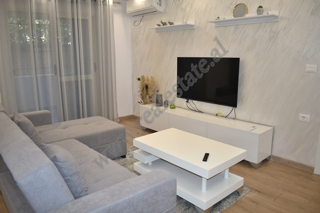 Two bedroom apartment for rent near zogu i boulevard in Tirana, albania (3)