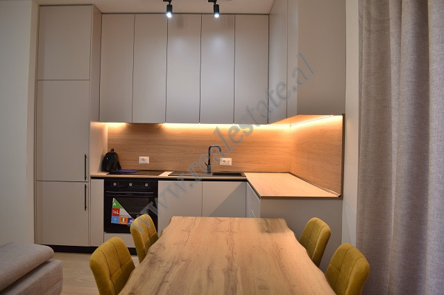 Appartement de deux chambres à louer au complexe delijorgji, à Tirana, albanie (2)