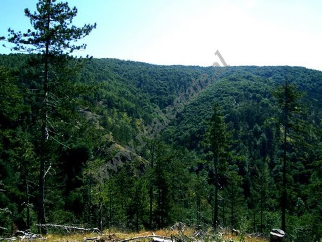 Land for sale in gjinar village, Elbasan, albania (2)
