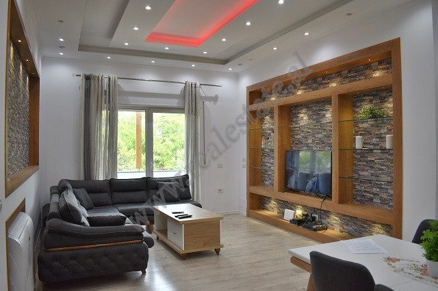 Two bedroom apartment for rent near artificial lake in Tirana, albania (2)