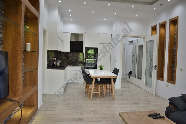 Two bedroom apartment for rent near artificial lake in Tirana, albania (3)