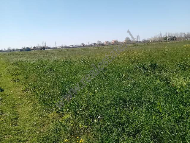 Tokë për shitje në zonën tale në Lezhë, shqipëri