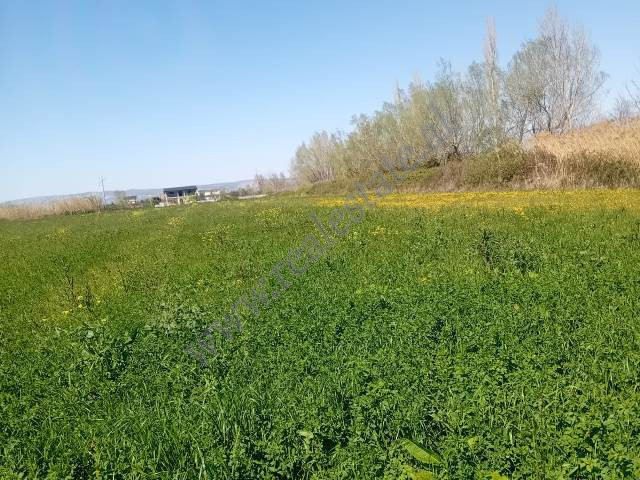 Tokë për shitje në zonën tale në Lezhë, shqipëri (2)
