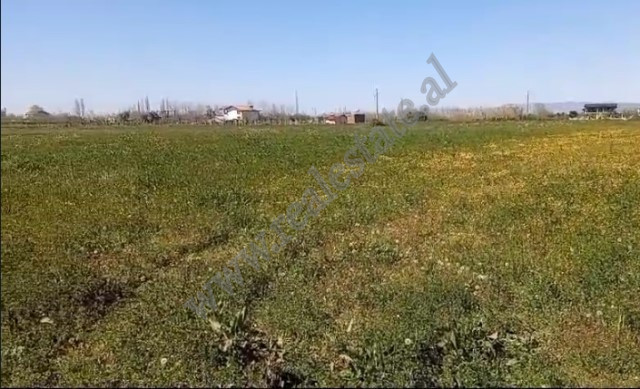 Tokë për shitje në zonën tale në Lezhë, shqipëri (3)