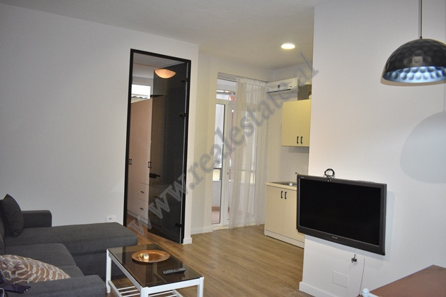 Apartament me një dhomë gjumi për shitje pranë zonës së zoot në Tiranë, shqipëri (3)