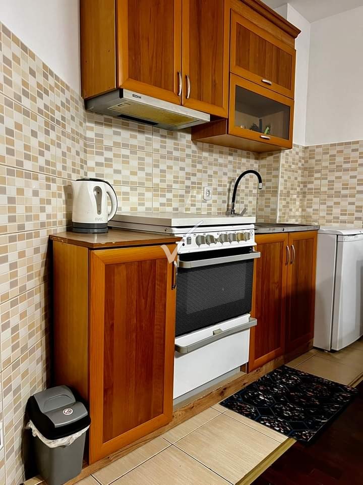 Appartement 1+1 à louer dans le parc de la ville (3)