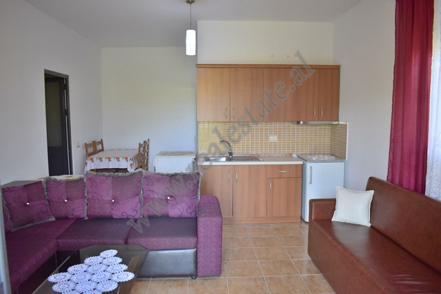 Appartement une chambre à louer dans la zone Sauk à Tirana, albanie (4)