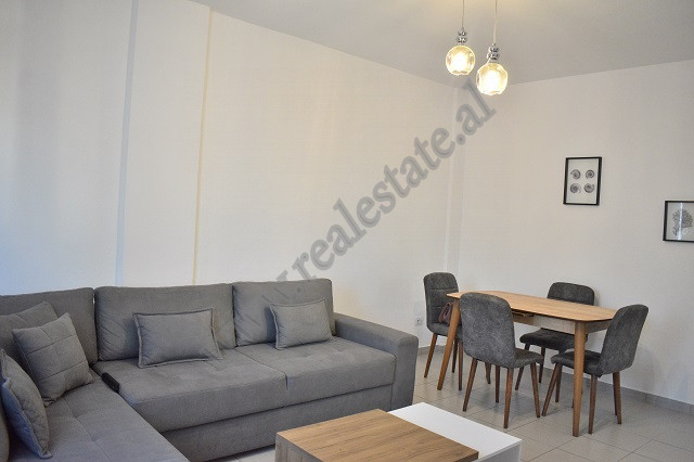 Apartamento de un dormitorio en alquiler cerca de la zona de Komuna e Parisit, en Tirana, albania (3)