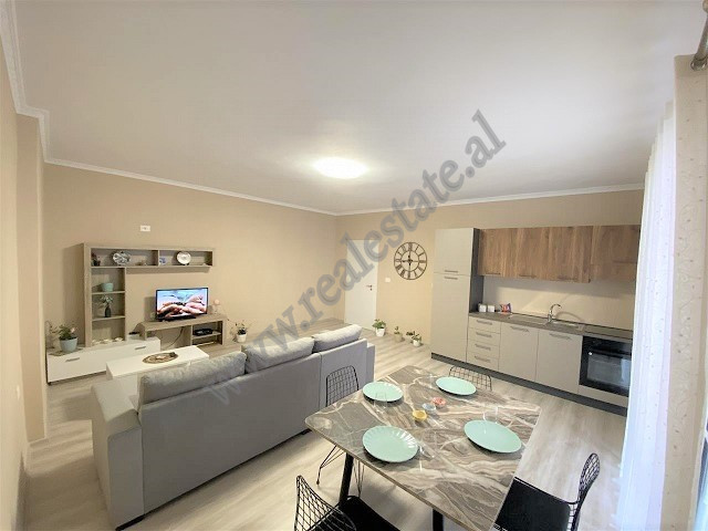 One bedroom apartment for rent near Komuna e Parisit area in Tirana, albania (2)