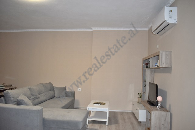 One bedroom apartment for rent near Komuna e Parisit area in Tirana, albania (3)