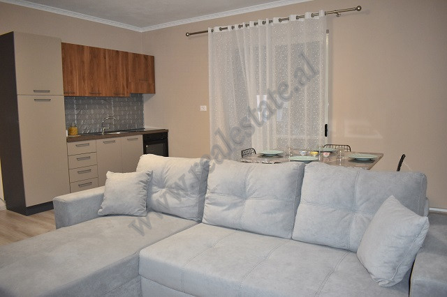 One bedroom apartment for rent near Komuna e Parisit area in Tirana, albania (5)