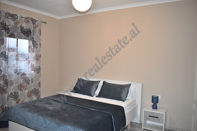 One bedroom apartment for rent near Komuna e Parisit area in Tirana, albania (7)