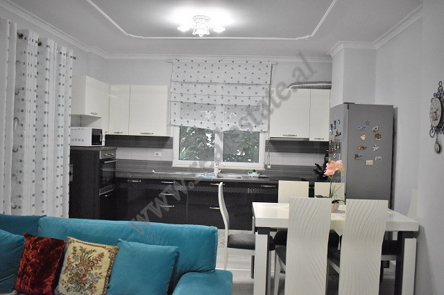 Appartement de deux chambres à louer près du lac artificiel, à Tirana, albanie (4)