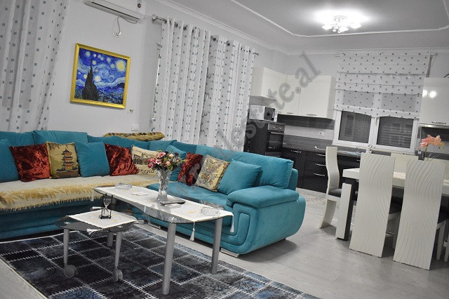 Appartement de deux chambres à louer près du lac artificiel, à Tirana, albanie (5)