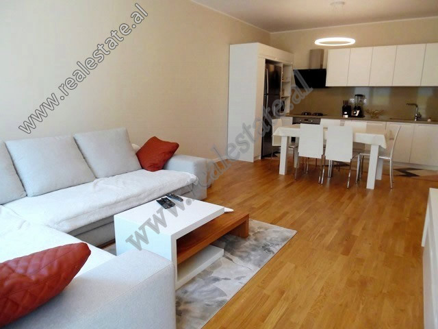 Zweizimmerwohnung zum verkauf in der nähe des künstlichen sees in Tirana, albanien (3)