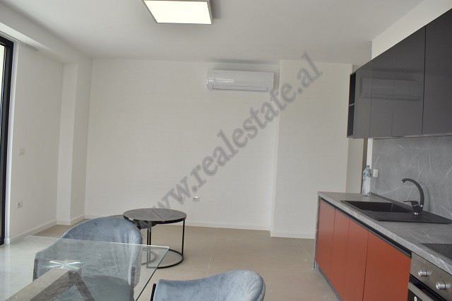 Zwei-zimmer-wohnung zur miete im gebiet ish fusha aviacionit in Tirana, albanien (3)