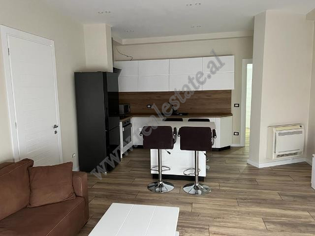 Two bedroom apartment for sale near the botanic garden in Tirana, albania (3)