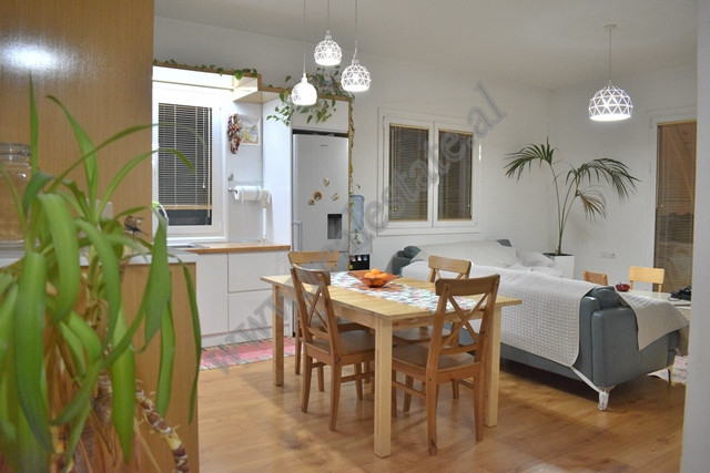 Villa à deux étages à louer près de la rue Elbasan à Tirana, albanie (3)