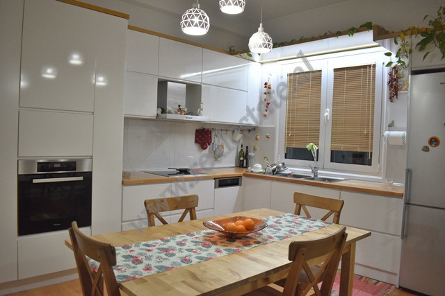 Villa à deux étages à louer près de la rue Elbasan à Tirana, albanie (7)