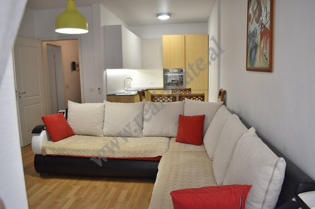 Einzimmerwohnung zur miete in der nähe des kodra e diellit-viertels in Tirana, albanien (2)