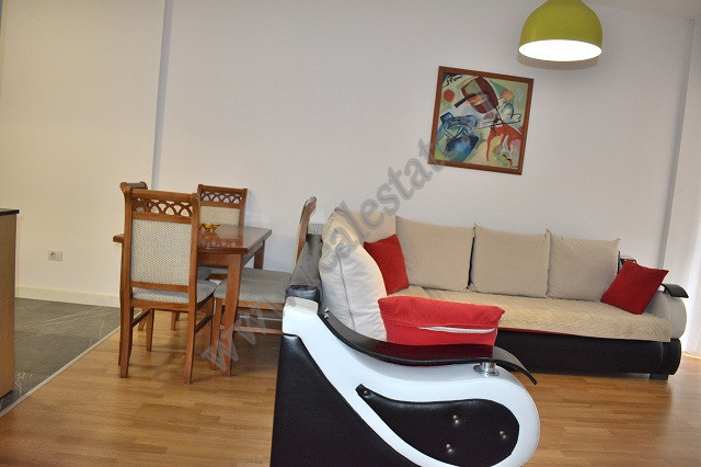 Einzimmerwohnung zur miete in der nähe des kodra e diellit-viertels in Tirana, albanien (4)