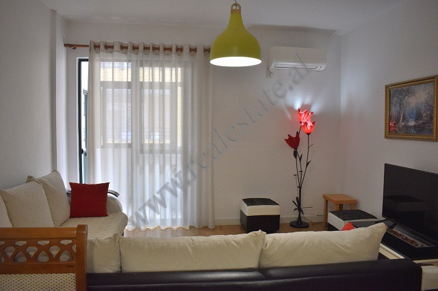 Einzimmerwohnung zur miete in der nähe des kodra e diellit-viertels in Tirana, albanien (5)