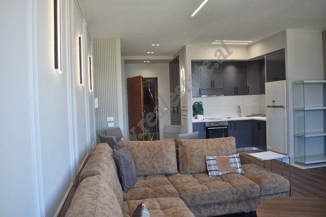 Two bedroom apartment for rent near artificial lake in Tirana, albania (2)