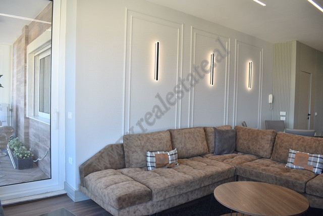 Two bedroom apartment for rent near artificial lake in Tirana, albania (3)
