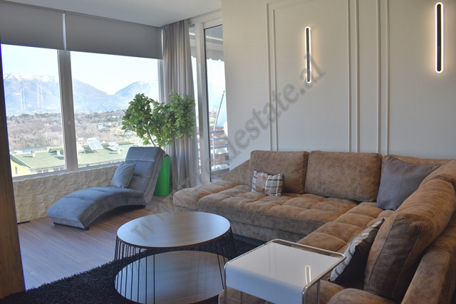 Two bedroom apartment for rent near artificial lake in Tirana, albania (4)