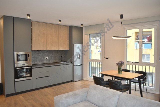 Apartamento de dos habitaciones en alquiler en el área de Komuna e Parisit en Tirana, albania (4)