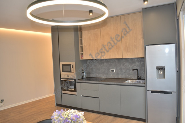 Apartamento de dos habitaciones en alquiler en el área de Komuna e Parisit en Tirana, albania (5)