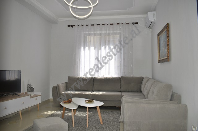 Einzimmerwohnung zur miete in der nähe der elbasani-straße, in Tirana, albanien (3)