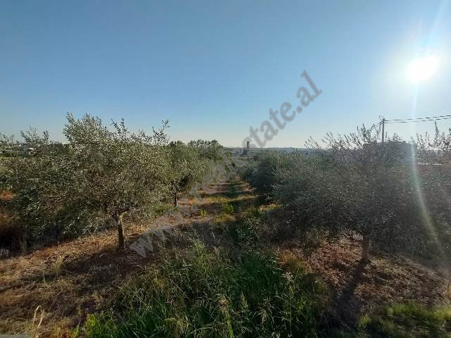 Terreno à venda na área shkalle em durres, albânia