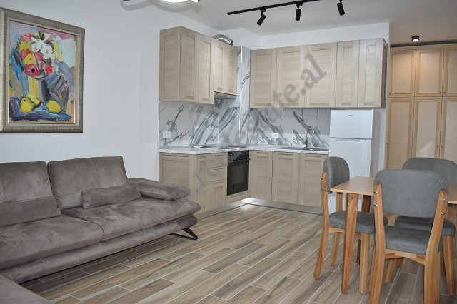 Appartement une chambre à louer dans la rue kongresi manastirit, à Tirana, albanie (4)
