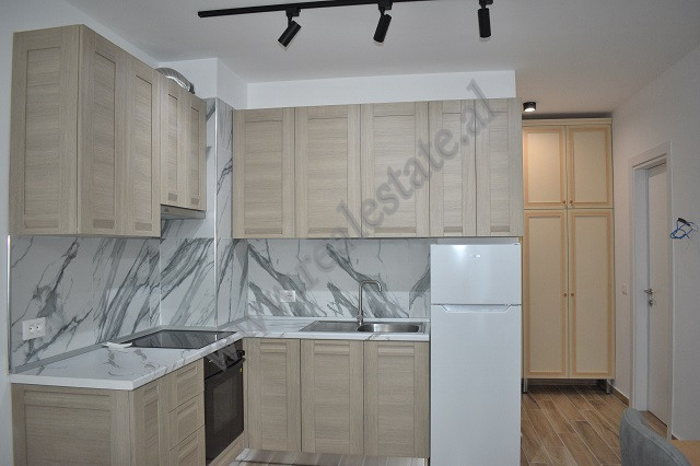 Appartement une chambre à louer dans la rue kongresi manastirit, à Tirana, albanie (5)