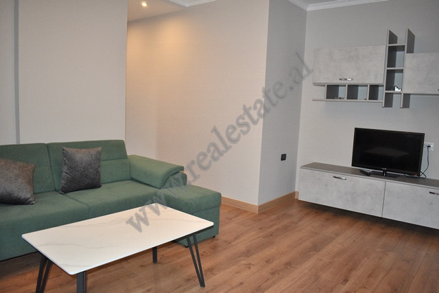Two bedroom apartment for rent at ish fusha e aviacionit in Tirana (3)