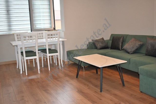 Two bedroom apartment for rent at ish fusha e aviacionit in Tirana (5)