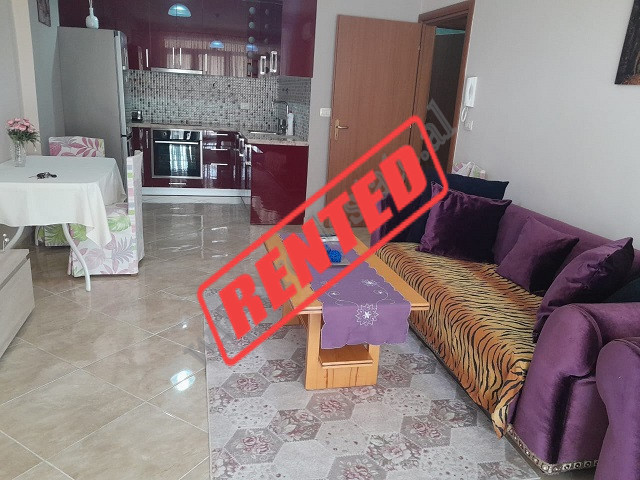 Appartamento con due camere da letto in affitto vicino al lago artificiale, a Tirana.