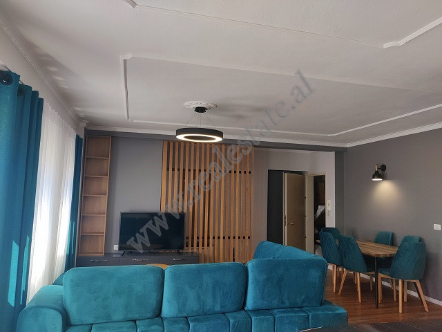 Two bedroom apartment for rent in hasan vogli street of Tirana, albania (4)