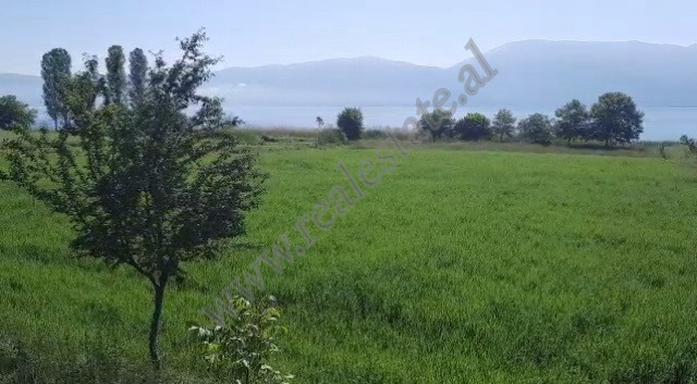 Terreno en venta cerca del lago ohrid en Pogradec, albania (2)