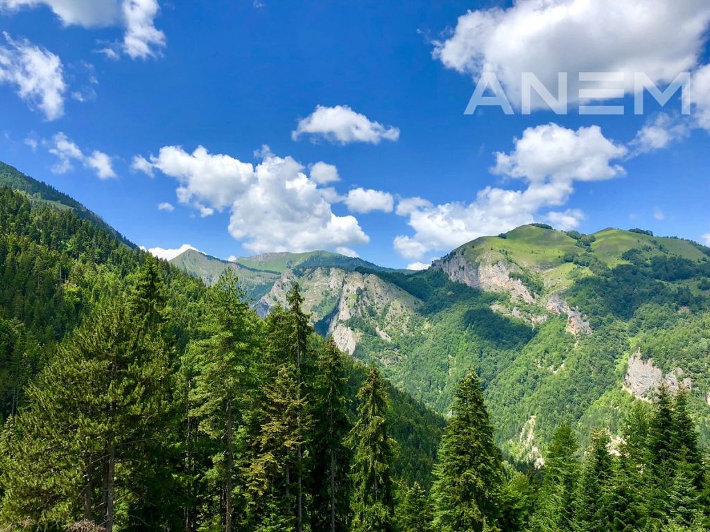 Terreno in vendita 345 ari a rugovë