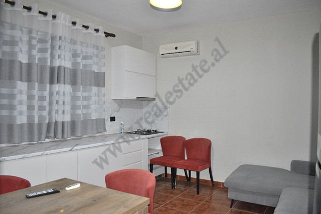 Zwei-zimmer-wohnung zur miete in der ali visha straße in Tirana, albanien (3)