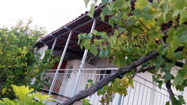 Casa y terreno en venta en borsh (2)