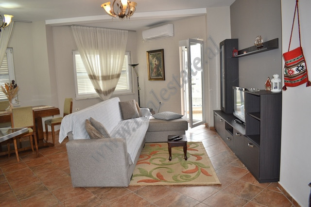 Two bedroom apartment for rent in liqeni i thate area in Tirana, albania (2)