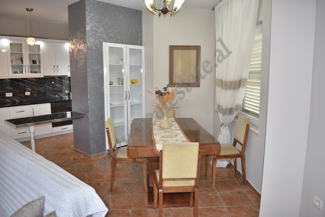 Two bedroom apartment for rent in liqeni i thate area in Tirana, albania (3)