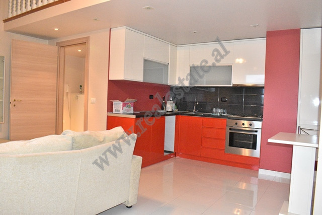 Zweizimmer-duplex-wohnung zur miete in liqeni i thate in Tirana, albanien (4)