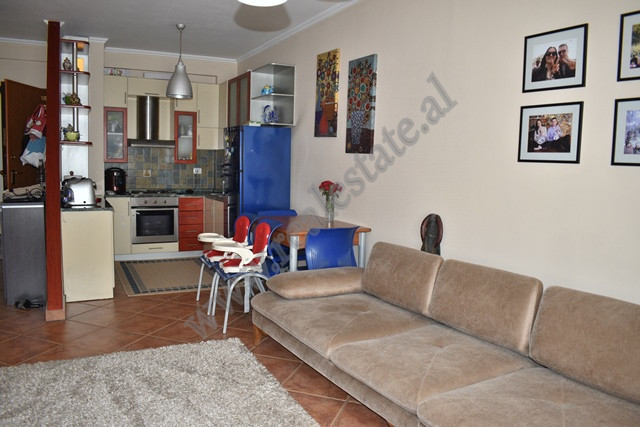 Appartement une chambre à louer sur le boulevard zogu i à Tirana, albanie (3)