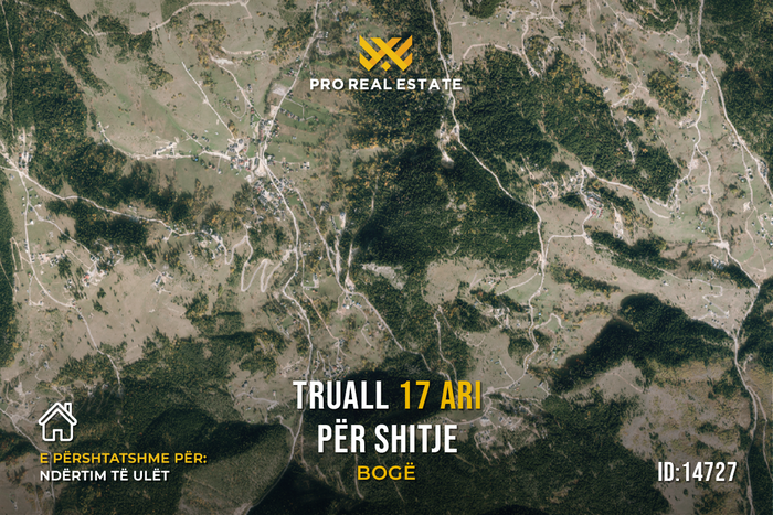 Truall 17 ari për #shitje në Bogë