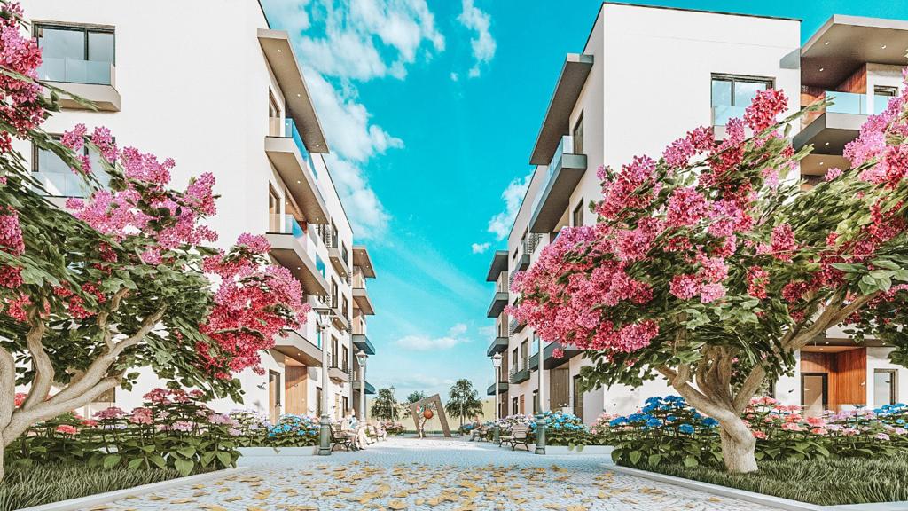 Himara